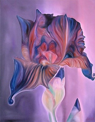 Gladioli