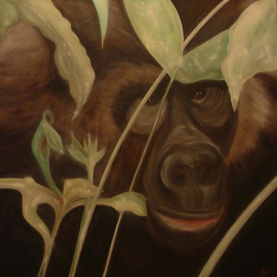 Gorilla